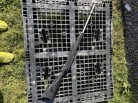 IMG_6271.jpeg