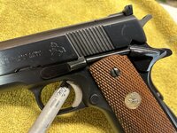 IMG_5785.jpeg