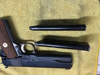 IMG_5795.jpeg