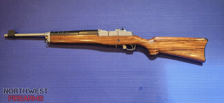 Mini 14 L_H.jpg