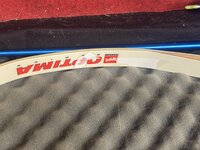 IMG_8862.jpeg