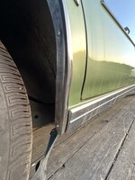 IMG_7310.jpeg