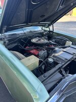 IMG_7292.jpeg