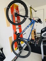 IMG_7101.jpeg