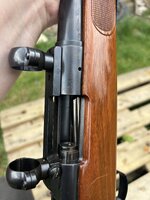 IMG_6477.jpeg