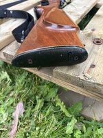 IMG_6467.jpeg