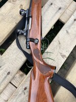 IMG_6460.jpeg