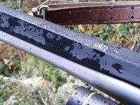 wet rifle.jpg