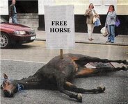 Dead Horse.jpg