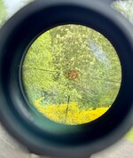 IMG_9612.jpeg