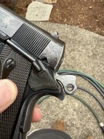 IMG_0290.jpeg