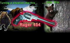 Ruger454-2-2.jpg
