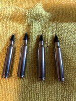 IMG_6040.jpeg