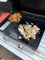 IMG_3666.jpeg