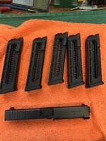 IMG_3152.jpeg