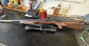 IMG_0015.jpeg