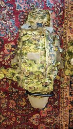 IMG_20250526_200408711.jpg