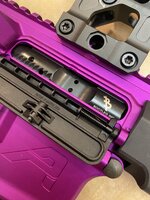 IMG_3003.jpeg