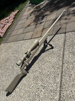 IMG_7752.jpeg