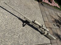 IMG_7753.jpeg