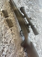 IMG_9632.jpeg