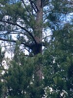 IMG_6341.jpeg