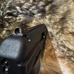 IMG_2288.jpeg