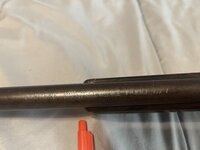 IMG_7766.jpeg