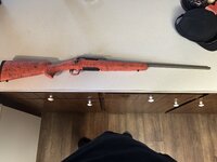 IMG_0207.jpeg