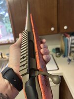 IMG_0209.jpeg