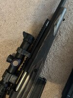 IMG_3174.jpeg