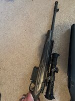IMG_3175.jpeg