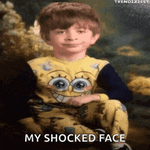 My-Shocked-face.gif