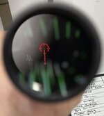 IMG_4632.jpeg