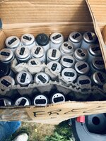 IMG_6503.jpeg