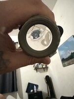 IMG_3491.jpeg
