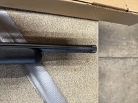 IMG_3714.jpeg
