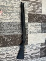 IMG_4615.jpeg