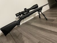 IMG_9425.jpeg
