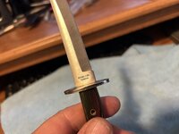 IMG_6372.jpeg