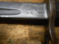 DSCN0488.JPG