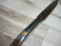 DSCN5144.JPG