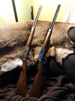 Two levers.jpg
