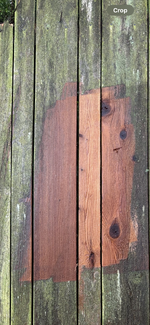 IMG_4805.png