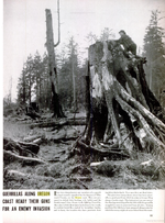 Life Magazine.png