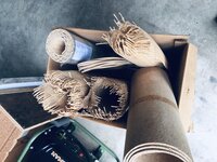 IMG_6595.jpeg