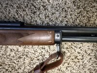 IMG_1315.jpeg