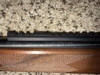 IMG_1316.jpeg