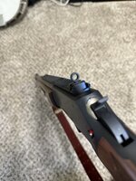 IMG_1319.jpeg