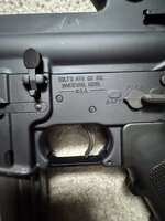 IMG_9975.jpeg